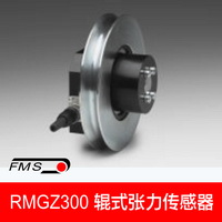 RMGZ300������_RMGZ300��������������ʿFMS�������